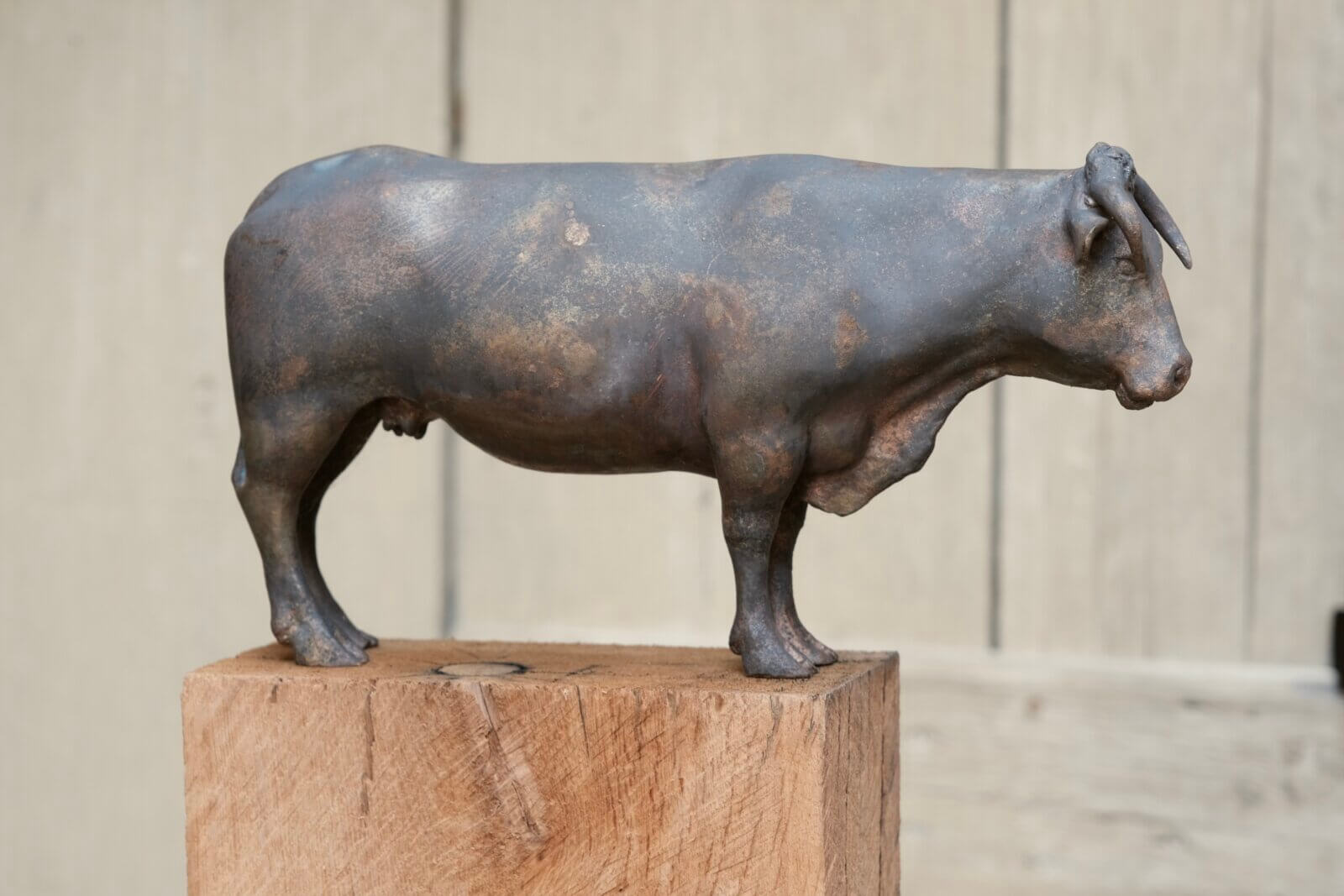 Blonde d`Aquitaine - Bronze