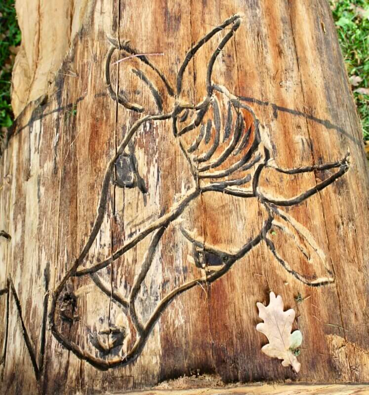 Stierkopf bei Adam und Eva