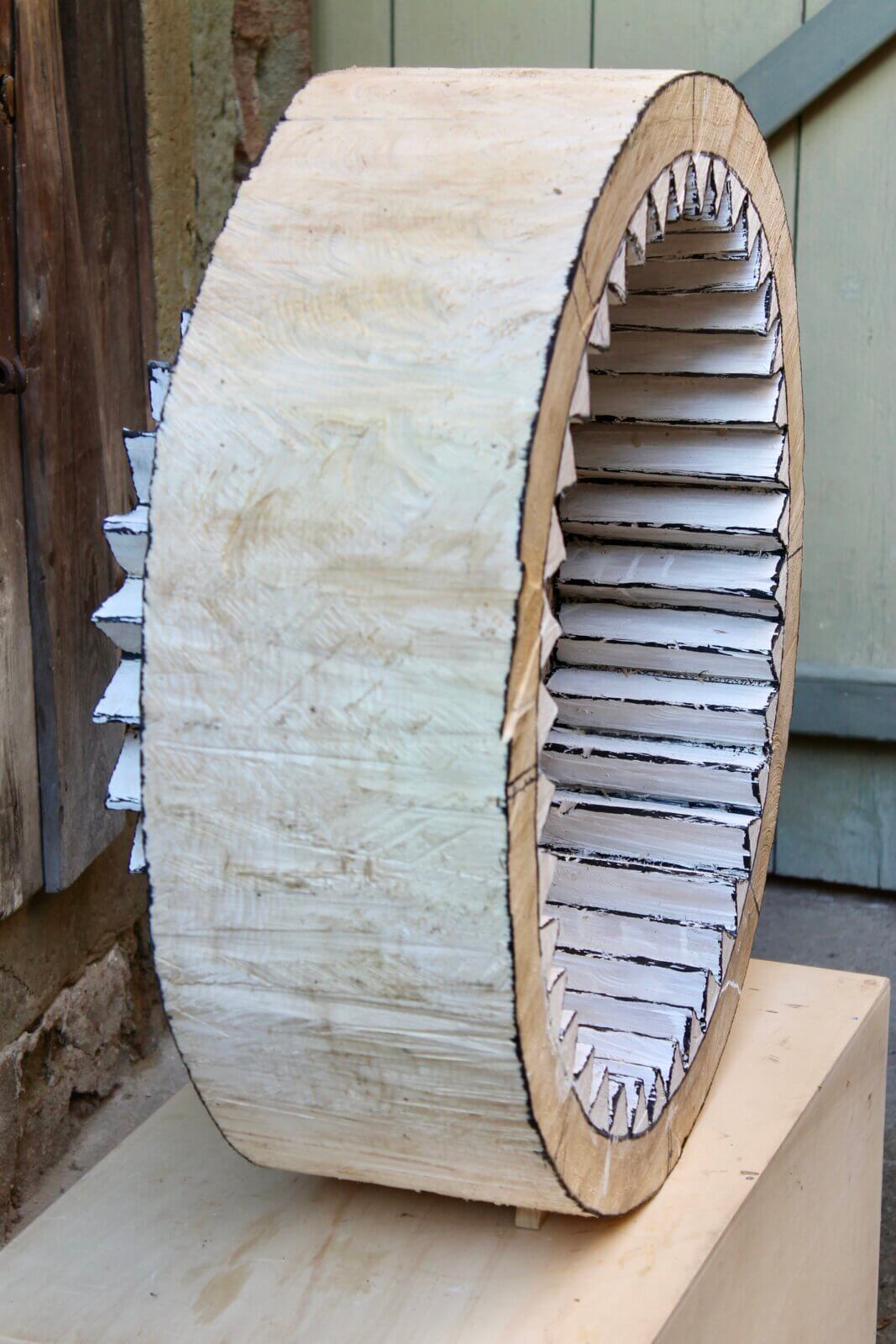 Zahnrad Kettensäge - Pappel gefasst