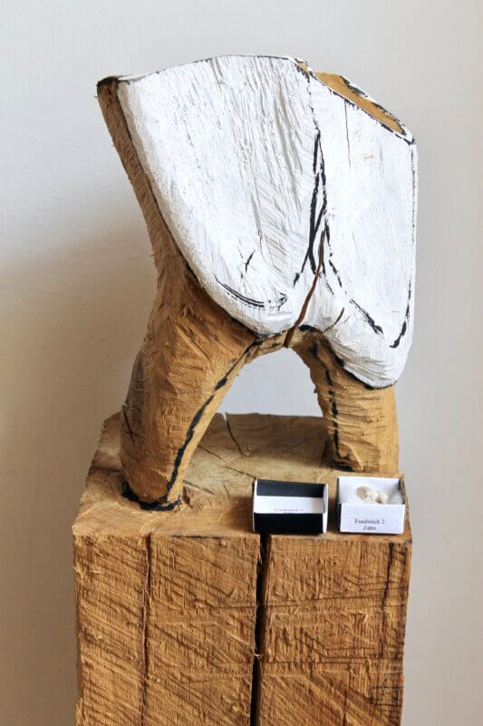 Fundstück  Zahn - Eiche gefasst