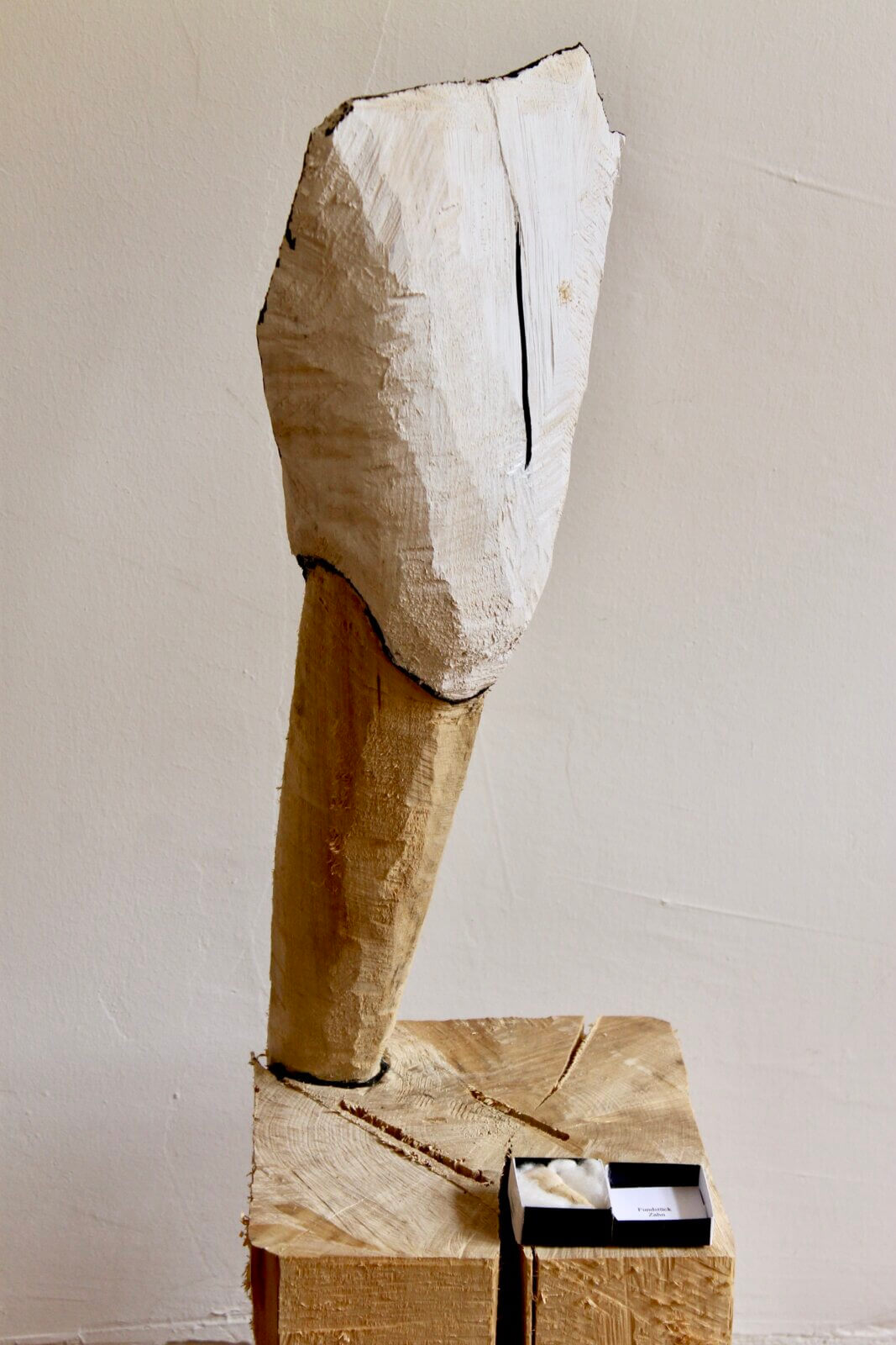 Fundstück Zahn - Linde gefasst