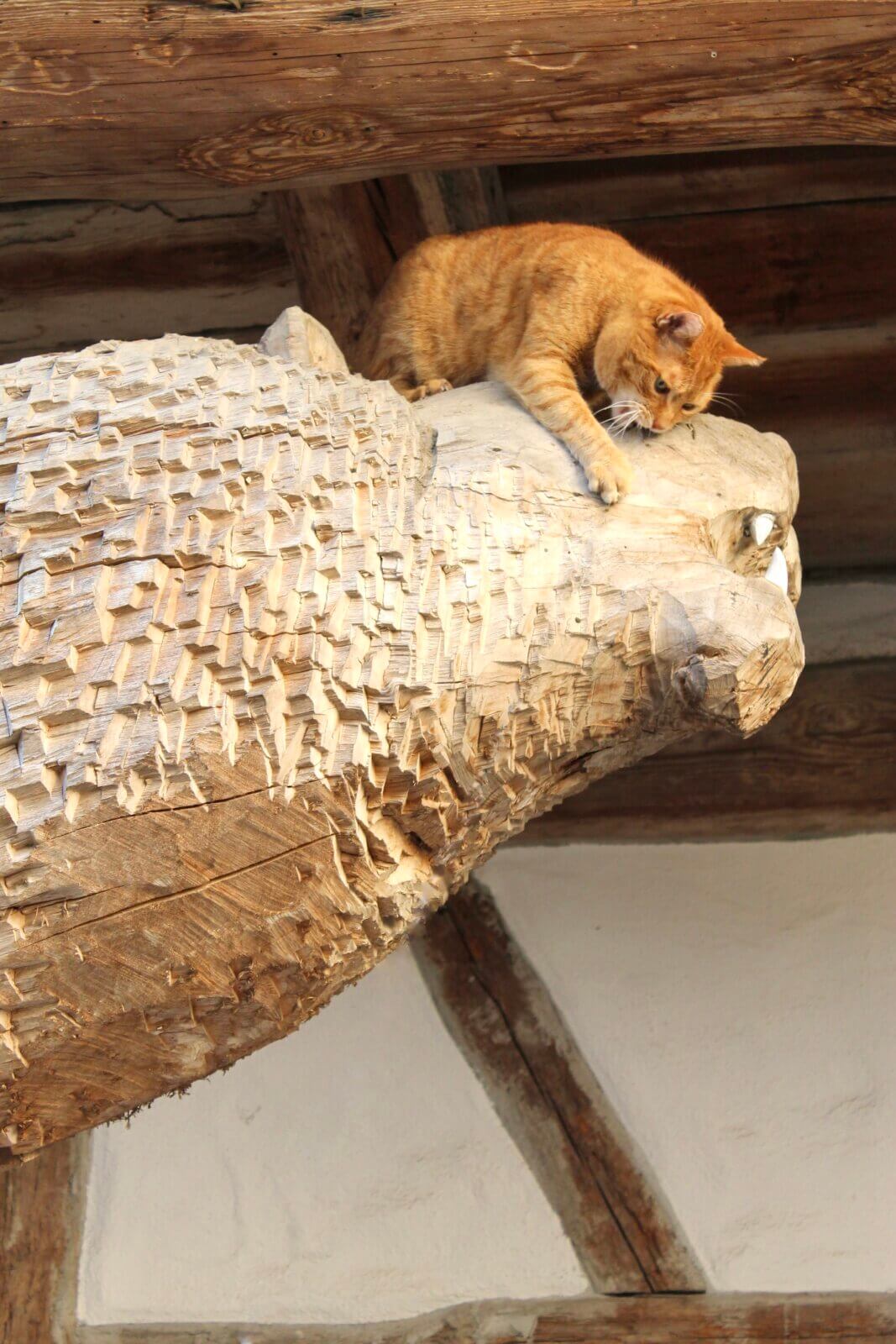 Tommy kämpft mit Holzlöwen