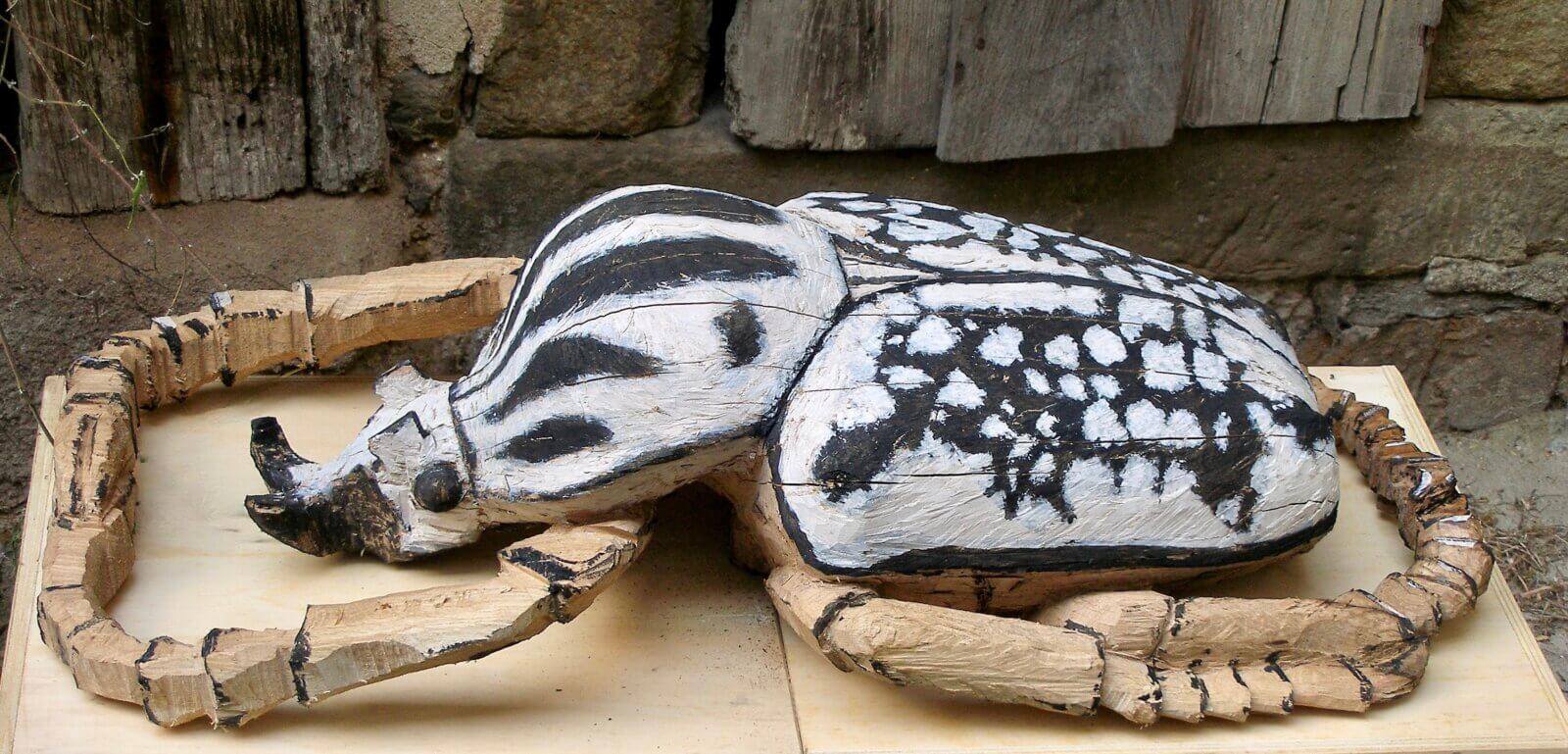 Goliathkäfer - Eiche gefasst